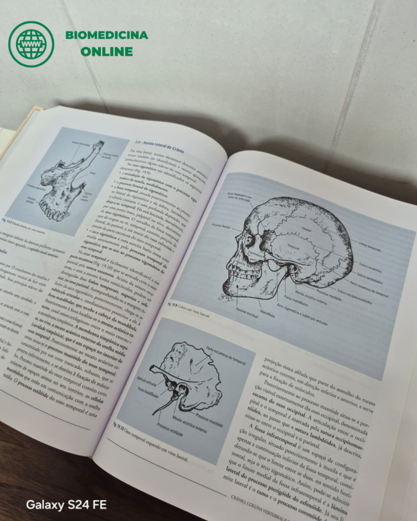 17anatomia-humana-sistemica-segmentar-dangelo-biblioteca-biomedicina