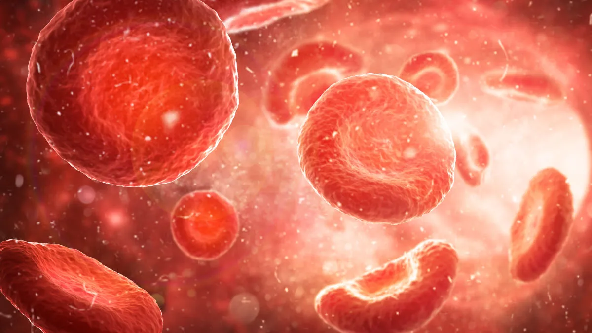 quais-sao-os-indices-hematimetricos-interpretacao-do-hemograma